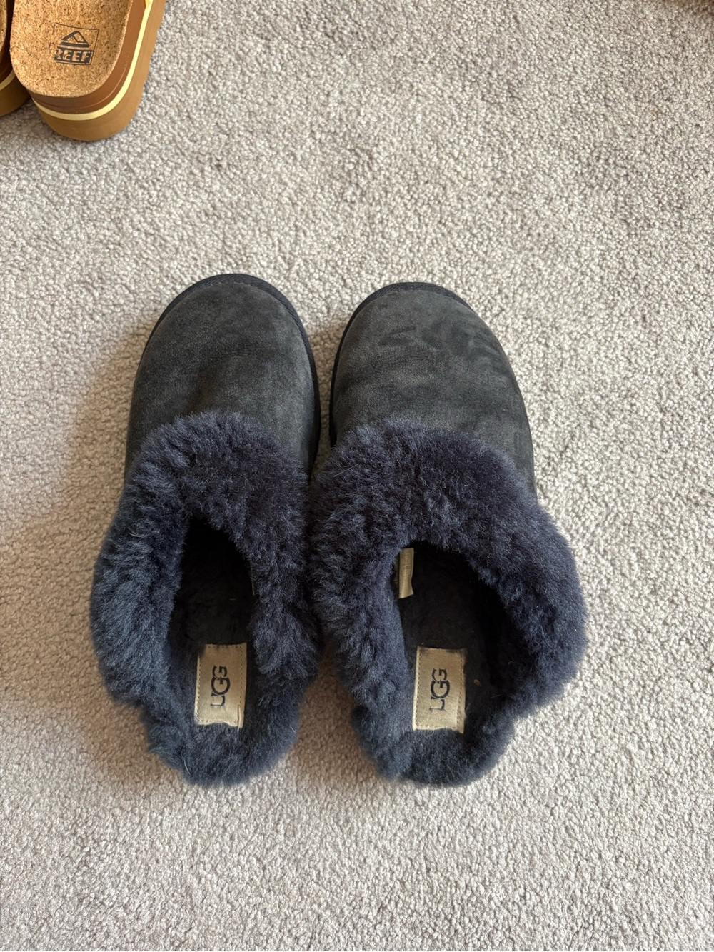 UGG Navy Suede Shearling Clog Slippers